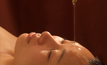 �V���[�_�[���[